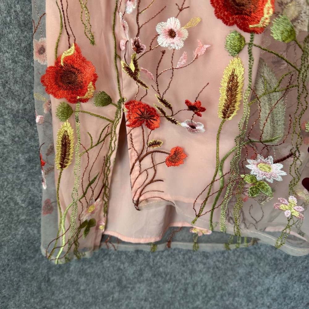 Beige ECI Fairy Floral Embroider Garden Sheer Slip Dress Size‎ 12 Pink Butterfly - Picture 4 of 13